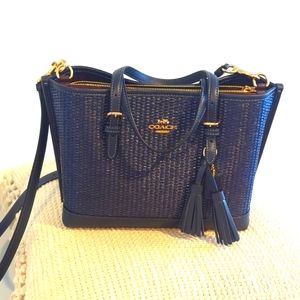 Coach Mollie Tote 25 in Straw
